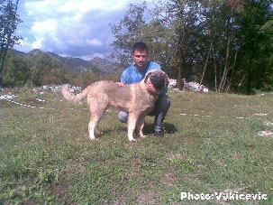 Fils de Cer x Wera